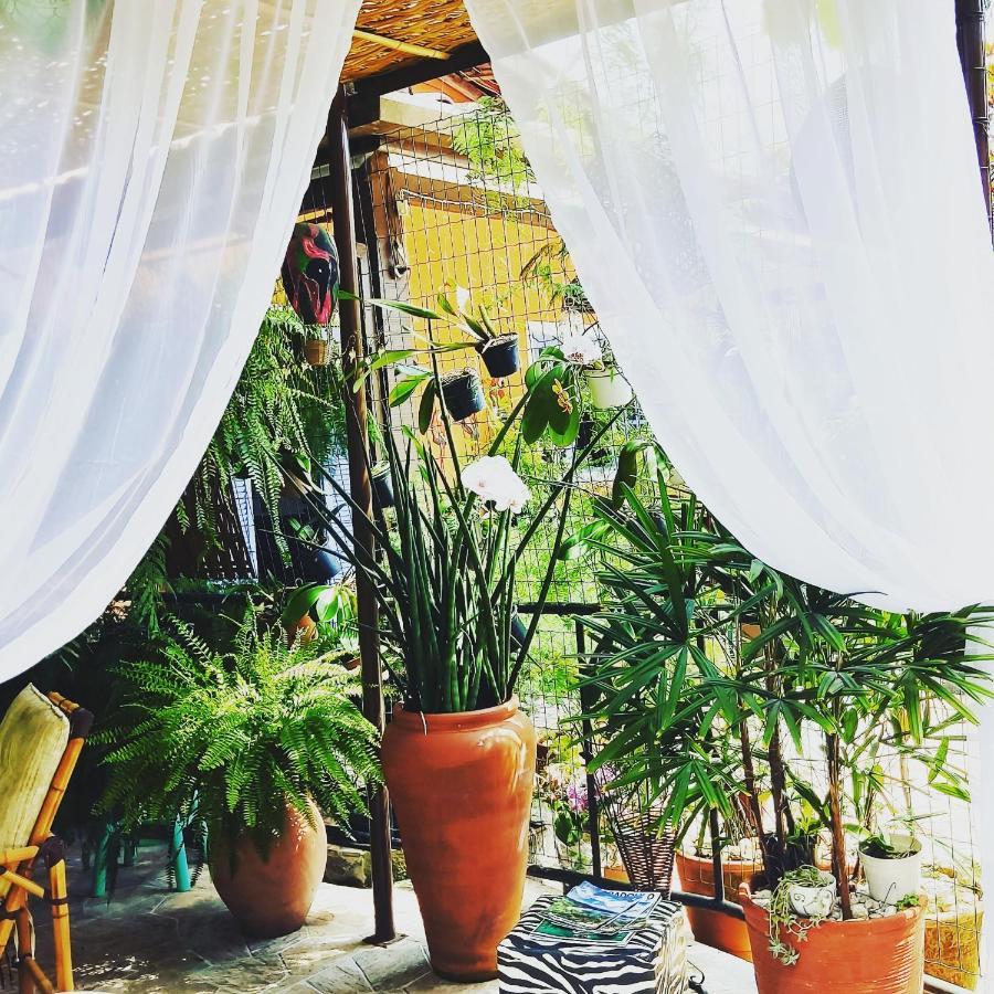 Recanto Toca Das Plantas De Ilhabela II 외부 사진